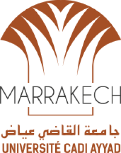 Cadi Ayyad University logo